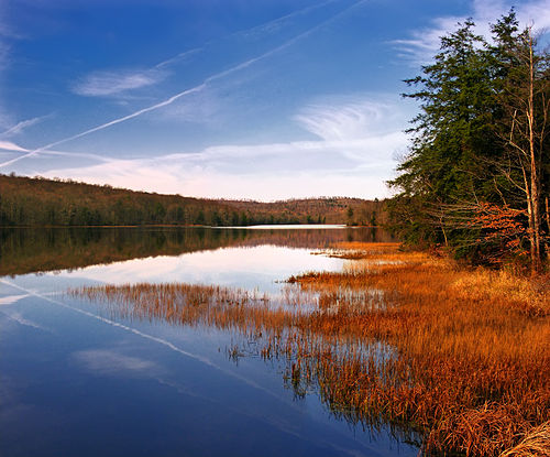 Shrewsbury Township, Sullivan County, Pennsylvania